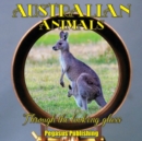 Australian Animals : Through The Looking Glass - Book