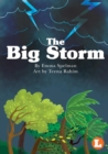 The Big Storm - Book