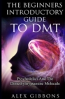 The Beginners Introductory Guide To DMT - Psychedelics And The Dimethyltryptamine Molecule - Book
