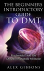 The Beginners Introductory Guide To DMT - Psychedelics And The Dimethyltryptamine Molecule - Book