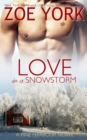 Love in a Snowstorm - Book