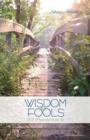 Wisdom for Fools - Book