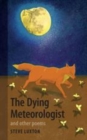 The Dying Meteorologist - Book