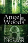 Angel in the Woods - Book