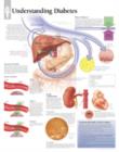 Understanding Diabetes Paper Poster - Book
