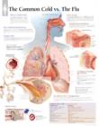 Understanding the Common Cold Laminated Poster - Book