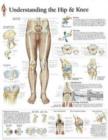 Understanding the Hip & Knee Paper Poster - Book