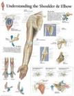 Understanding the Shoulder & Elbow Laminated Poster - Book