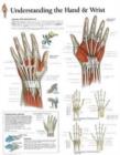 Understanding the Hand & Wrist Laminated Poster - Book