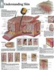 Understanding Skin Laminated Poster - Book
