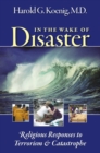 In the Wake of Disaster : Religious Responses to Terrorism and Catastrophe - Book