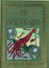 Animals of the Ocean - Book