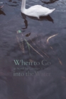 When to Go into the Water : A Novel - Book