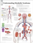 Understanding Metabolic Syndrome Paper Poster - Book