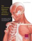 Illustrated Portfolio of Human Anatomy & Pathology, 2nd Edition : The Definitive Collection of 30 Anatomical Charts of the Human Body - Book