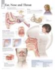 Ear, Nose & Throat Paper Poster - Book