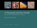 A Thousand and One Fossils : Discoveries in the Desert at Al Gharbia, United Arab Emirates - Book