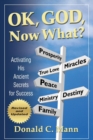 Ok, God, Now What? - Book
