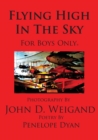Flying High In The Sky---For Boys Only - Book