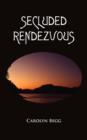 Secluded Rendezvous - Book