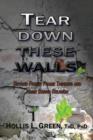 Tear Down These Walls : Beyond Freeze Frame Thinking and Name Brand Religion - Book