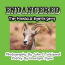 Endangered--The Peninsular Bighorn Sheep - Book