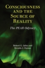 Consciousness and the Source of Reality - Book