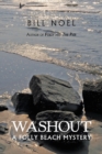Washout : A Folly Beach Mystery - Book
