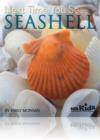 Next Time You See a Seashell - Book