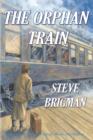 The Orphan Train - Book