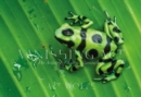 Vanishing Act : The Artistry of Animal Camouflage - Book