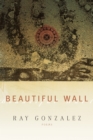 Beautiful Wall - Book