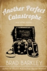 Another Perfect Catastrophe - eBook