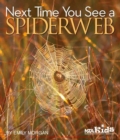 Next Time You See a Spiderweb - Book