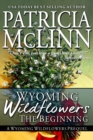 Wyoming Wildflowers: The Beginning (Wyoming Wildflowers, Book 1) - Book