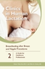 Clinics in Human Lactation: v. 2 - Breastfeeding After Breast and Nipple Procedures - Book