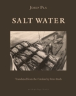 Salt Water - eBook