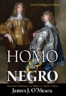 The Homo and the Negro : Masculinist Meditations on Politics and Popular Culture - Book