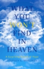 What You Won't Find in Heaven : A Surprising Source of Hope - Book
