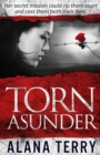 Torn Asunder - Book