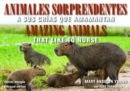 Animales Sorprendentes / Amazing Animals - English & Spanish Bilingual Edition : Que Amamantan a Sus Crias / That Like to Nurse - Book