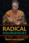Radical Insurgencies - Book