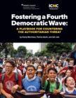 Fostering a Fourth Democratic Wave - eBook