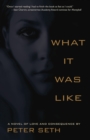 What It Was Like - eBook