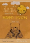 The Amazing Adventures of Harry Moon Spooky Socks - Book