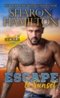 Escape To Sunset : One Night Stand Romance-Hiding From The Mob - Book