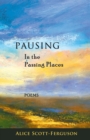 Pausing in the Passing Places : Poems - Book