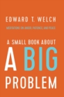 A Small Book about a Big Problem : Meditations on Anger, Patience, and Peace - eBook