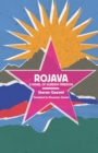 Rojava : A Novel of Kurdish Freedom - Book