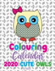 Colouring Calendar 2020 Cute Owls (UK Edition) - Book